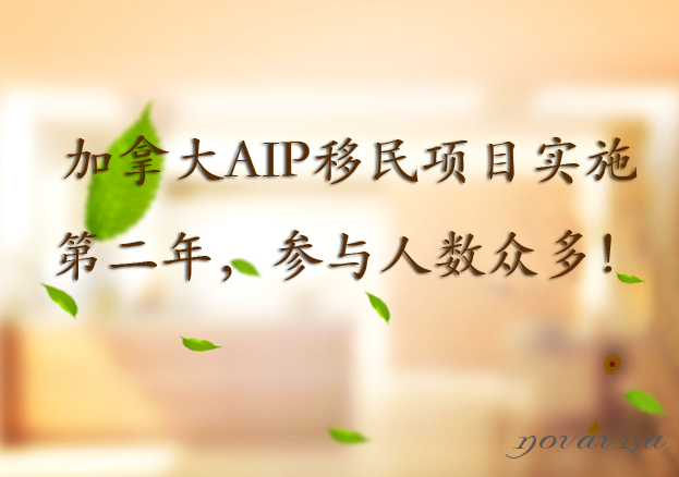 ôAIPĿʩڶ꣬c˔࣡